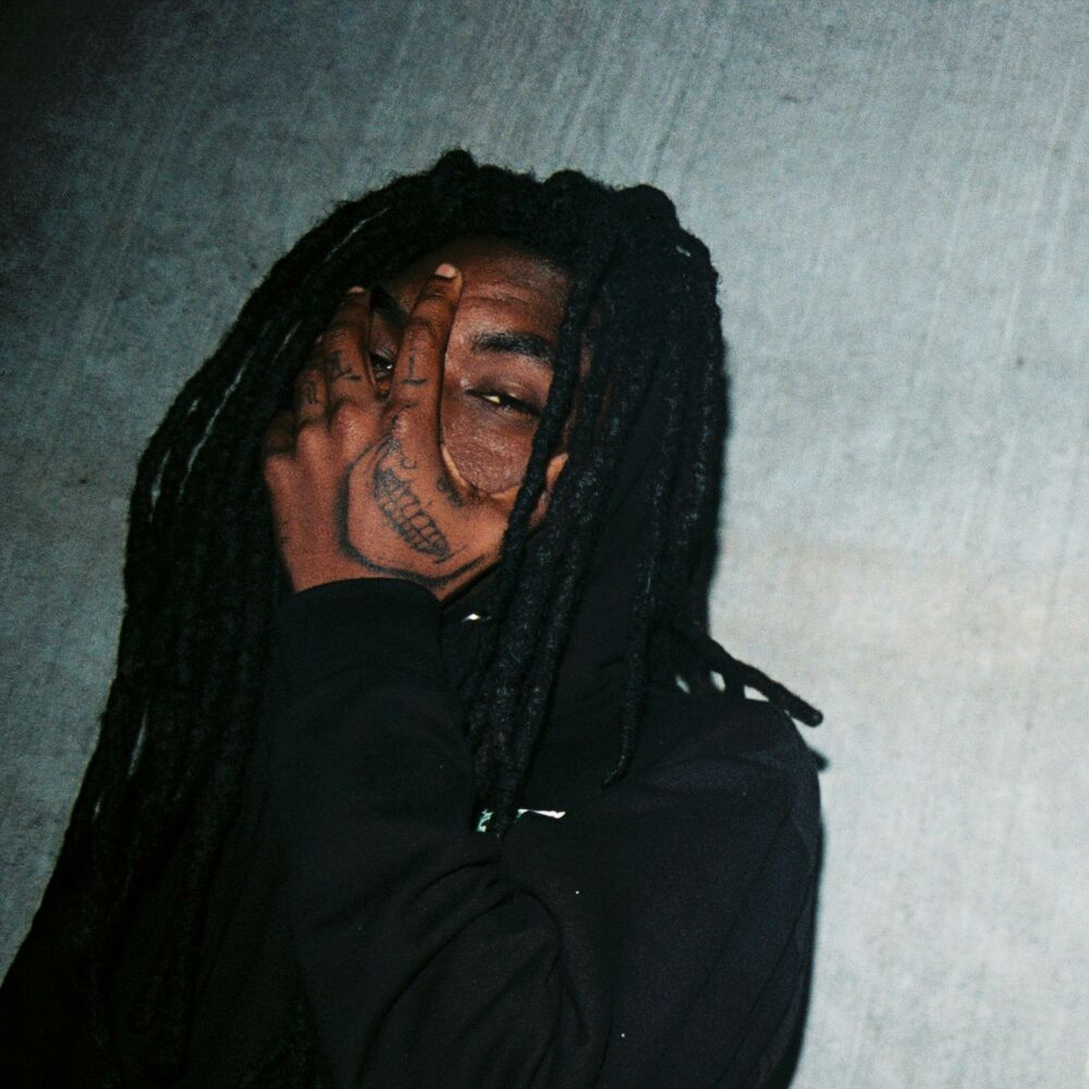 Picture of LEARN HOW 2 FINESSE (feat. RXLVND & SOSTUPID)