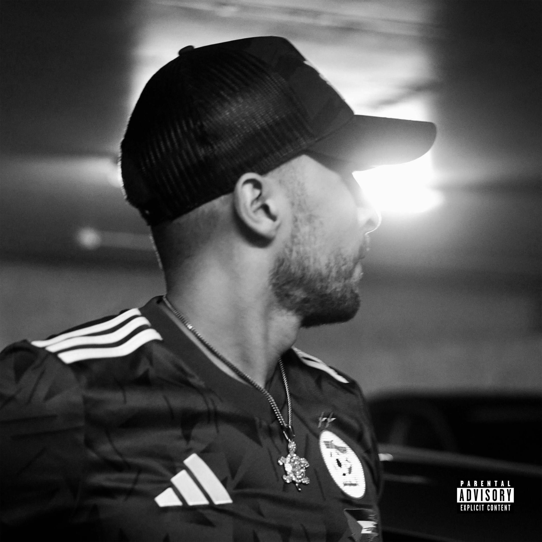 Album cover of HUSTLER 3