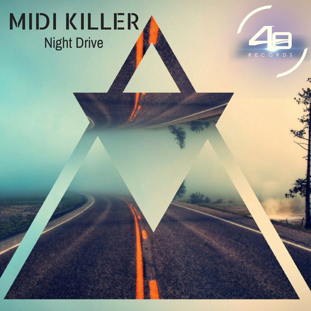 Picture of Night Drive