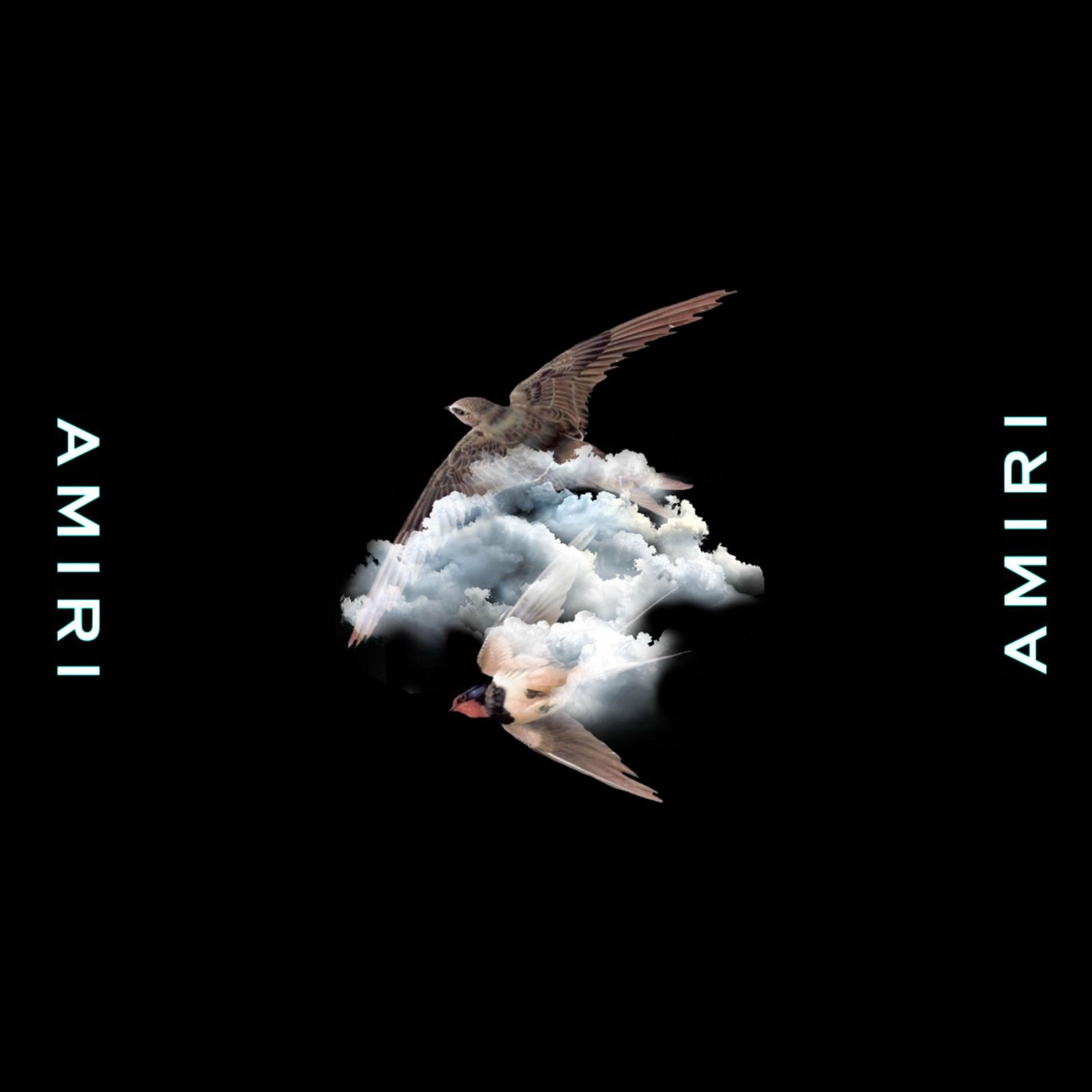 Album cover of Amiri