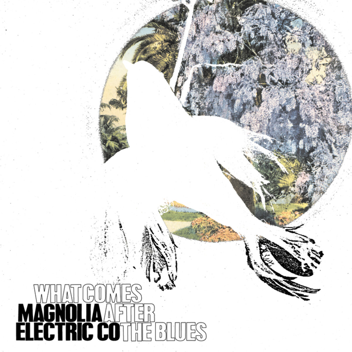 Album cover of What Comes After The Blues