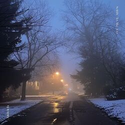 Cover of Softly As We Go