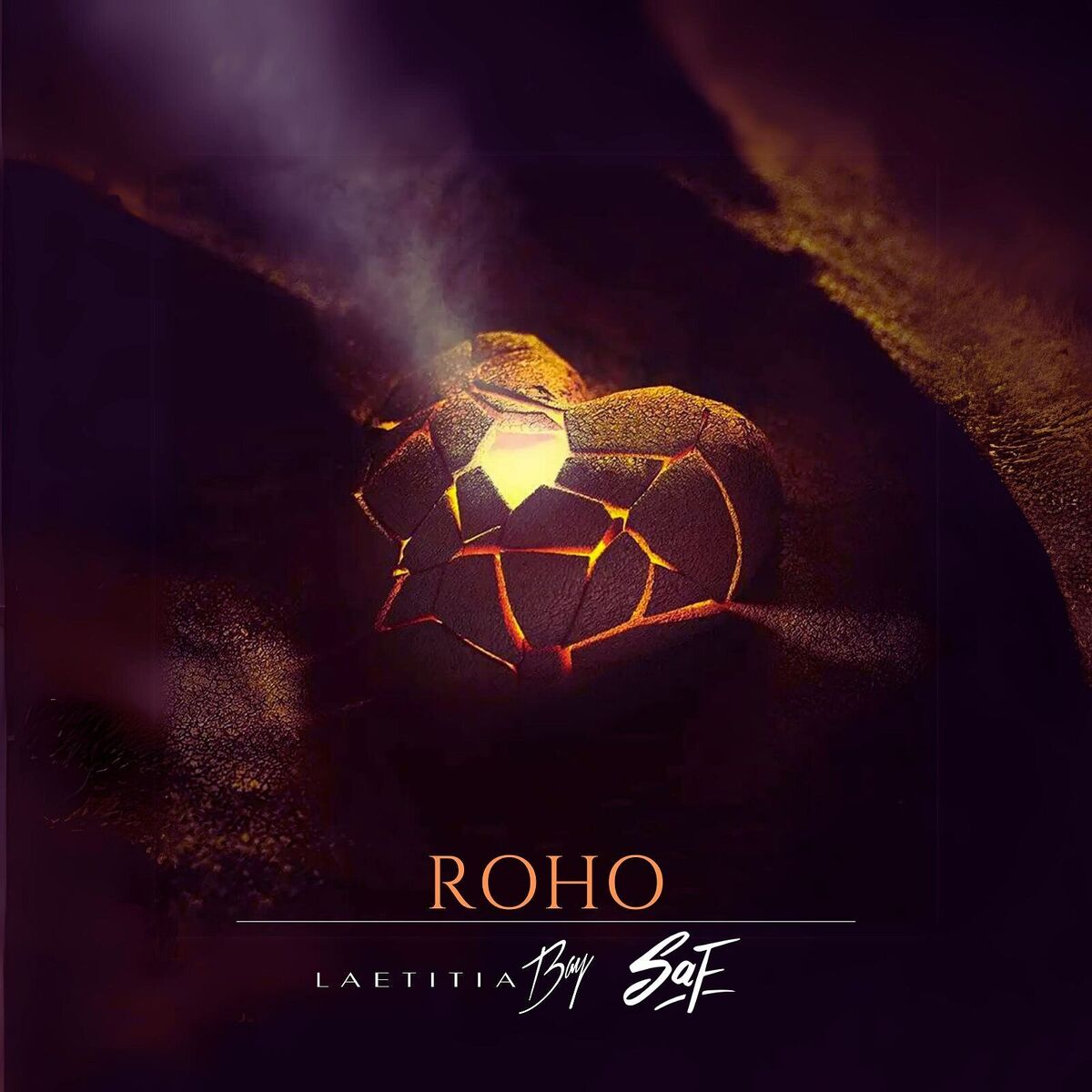 Album cover of Roho
