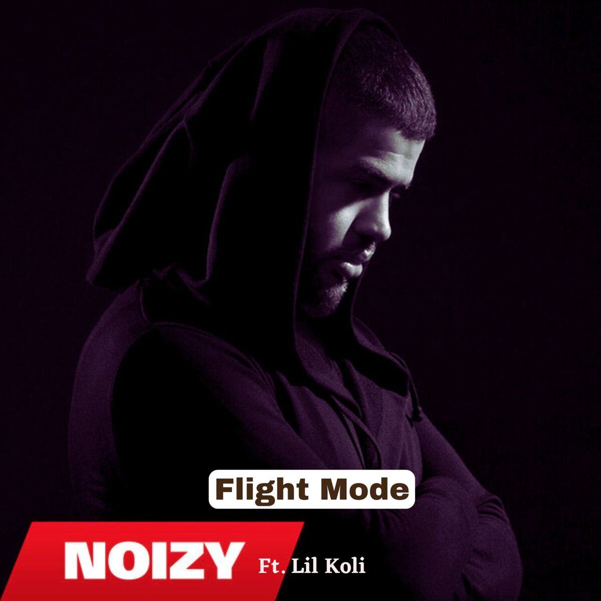 Album cover of Flight Mode