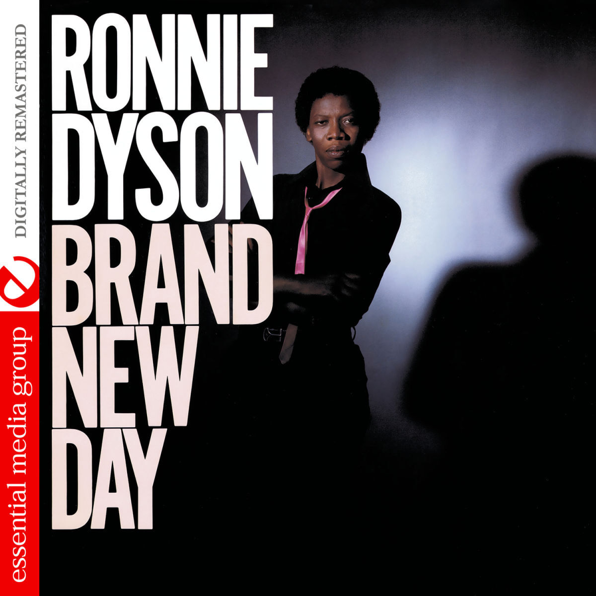 Album cover of Brand New Day (Digitally Remastered)