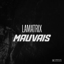 Cover of Mauvais