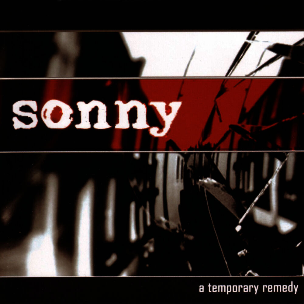Picture of A Temporary Remedy