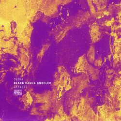 Cover of Black Camel Kneeled