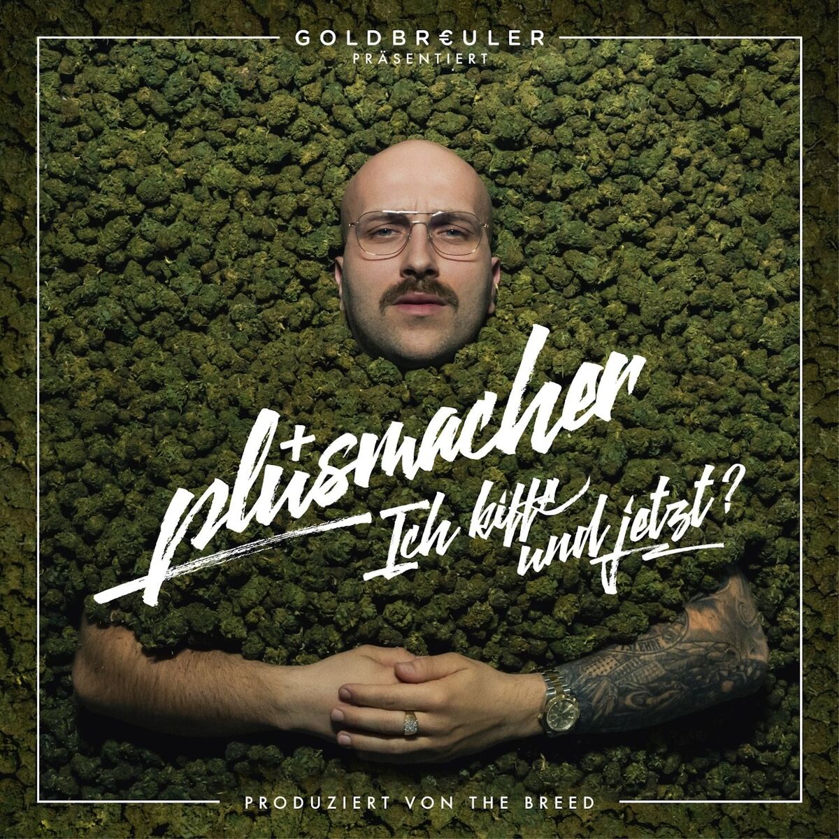 Album cover of Ich kiffe und jetzt?