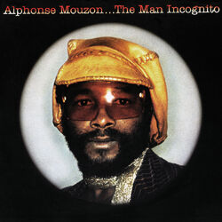 Cover of The Man Incognito