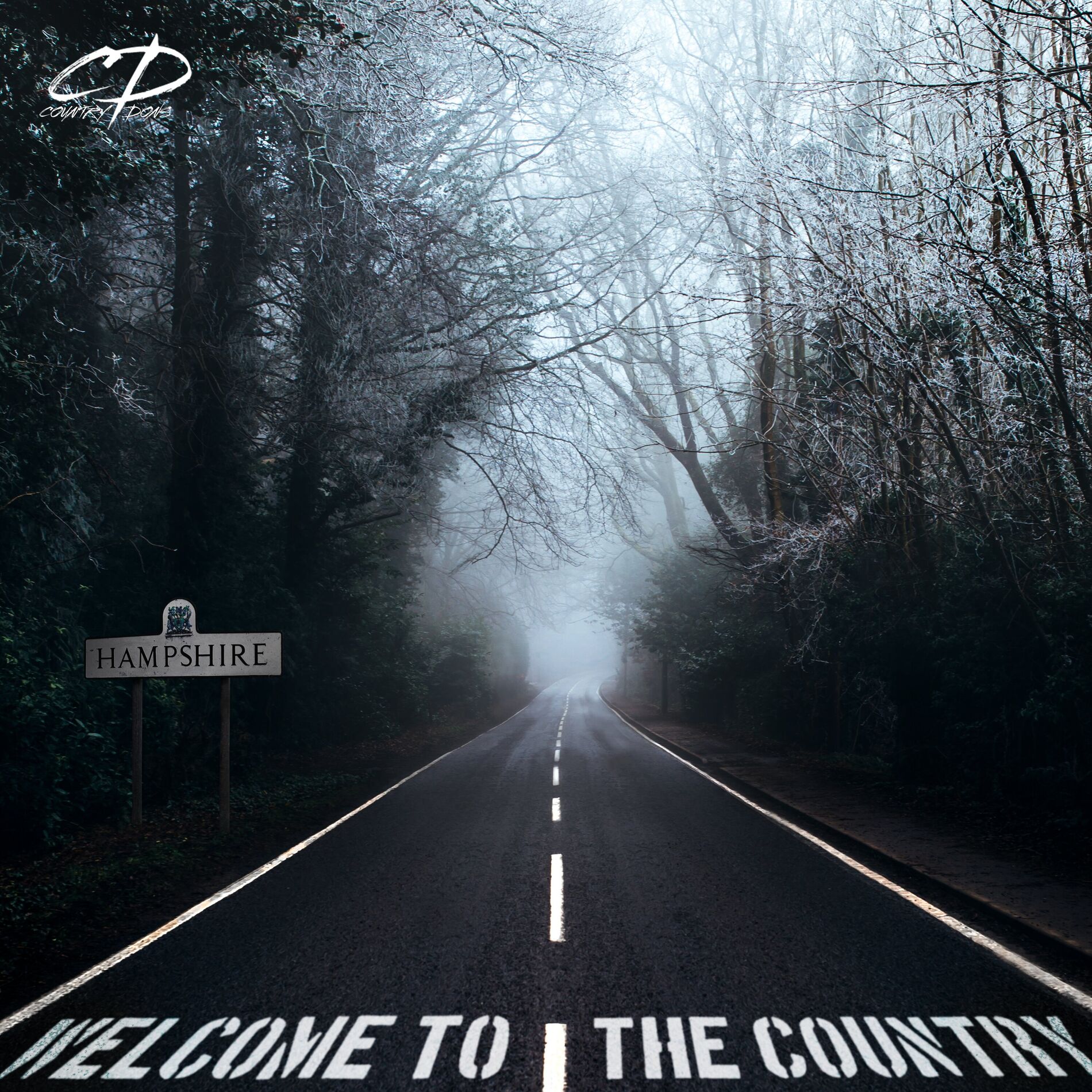 Album cover of Welcome To The Country