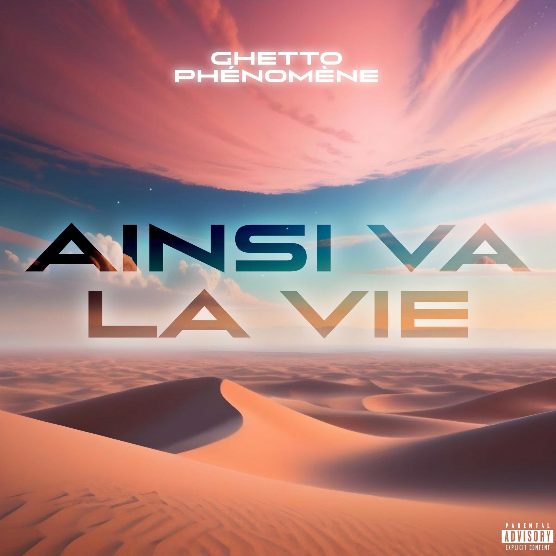 Album cover of Ainsi va la vie