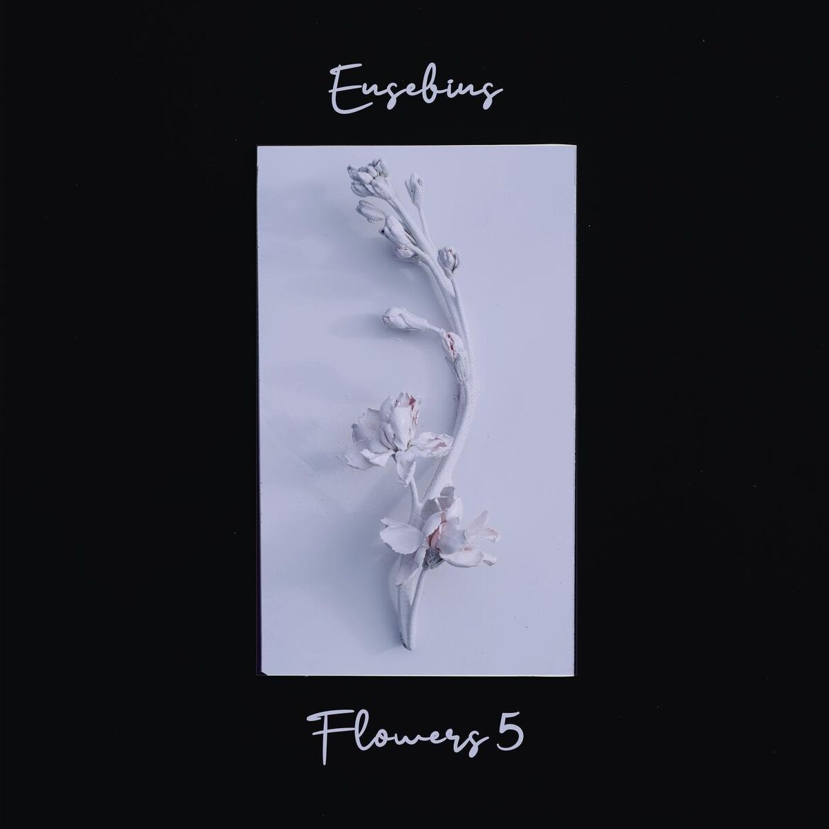 Album cover of Daisy