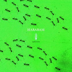 Cover of Hababam