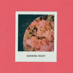 Cover of Burning Heart