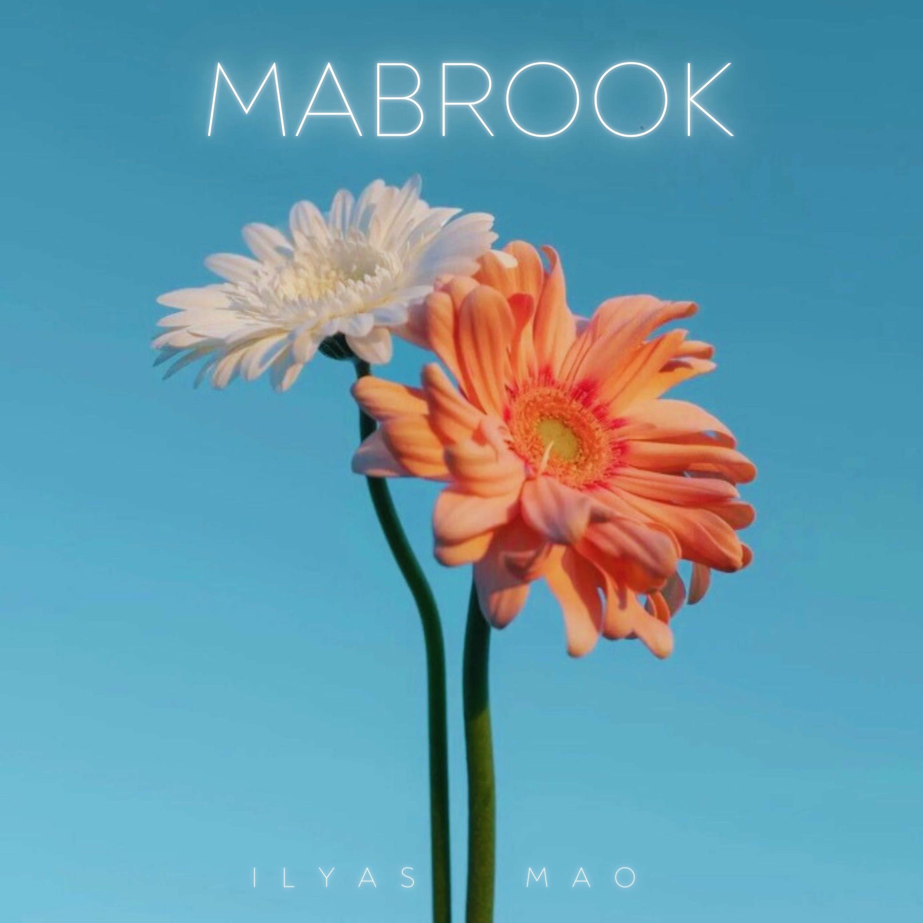 Album cover of Mabrook