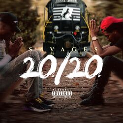 Cover of 20/20