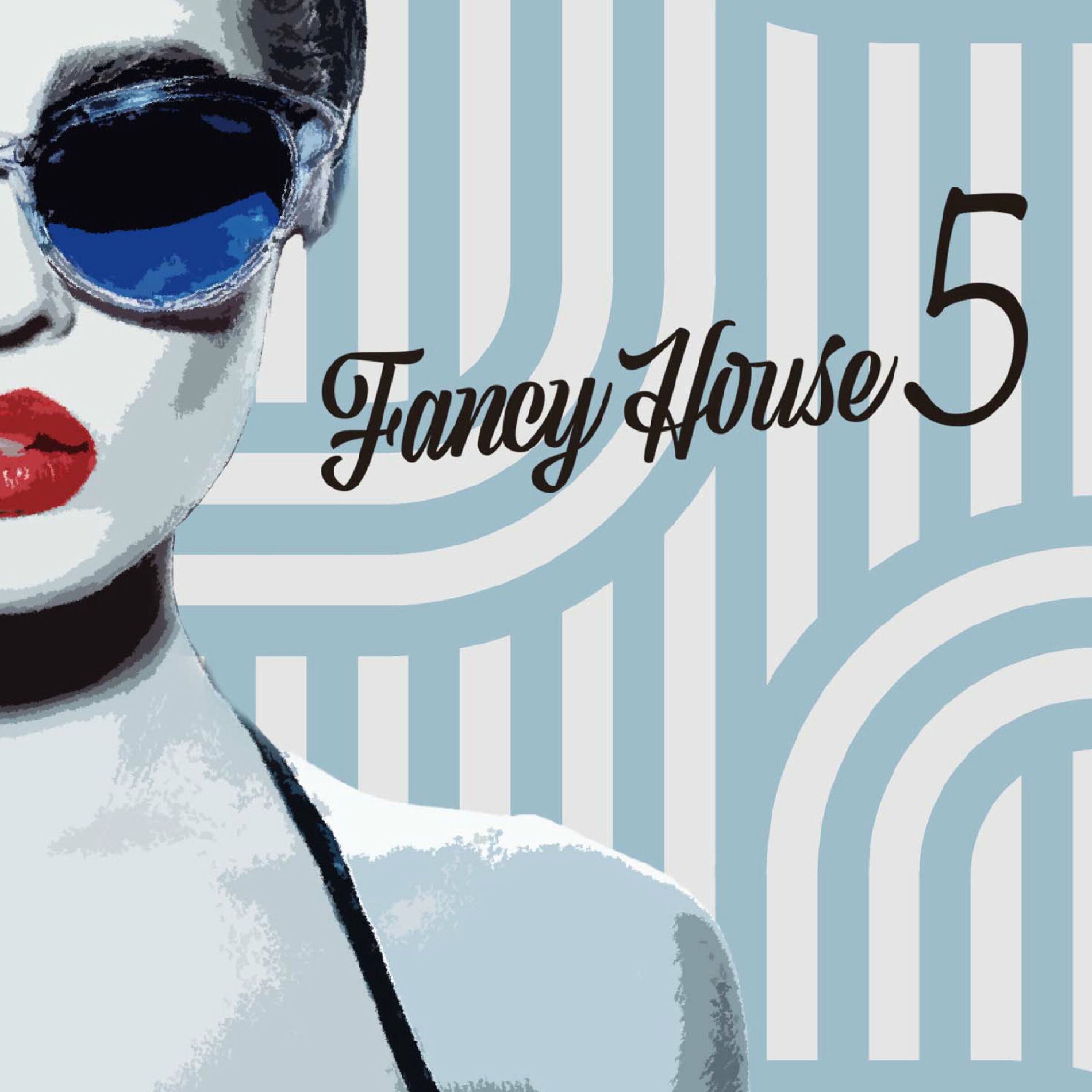Album cover of Fancy House Vol.5