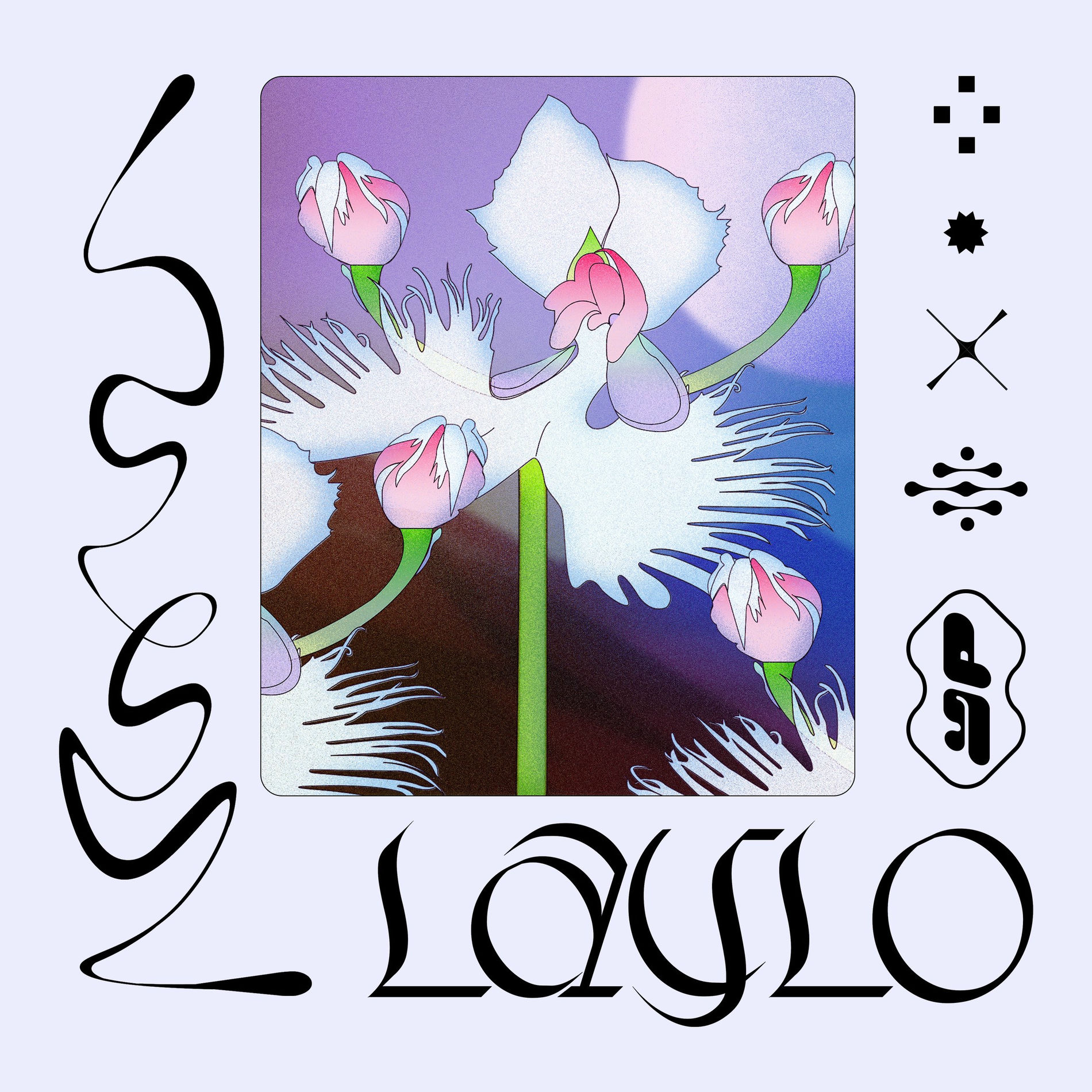 Album cover of Laylo