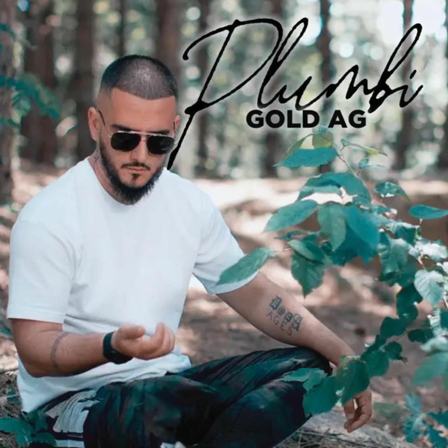 Album cover of Plumbi
