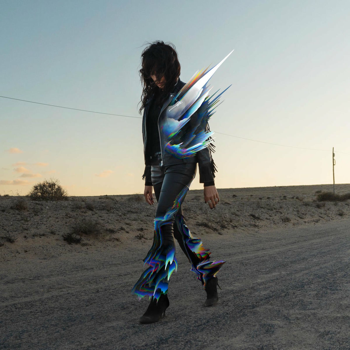 Album cover of Licht
