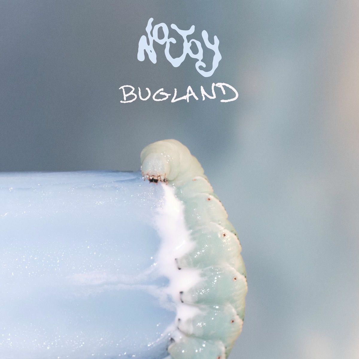 Album cover of Bugland