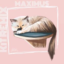 Cover of КiТ (Remix)