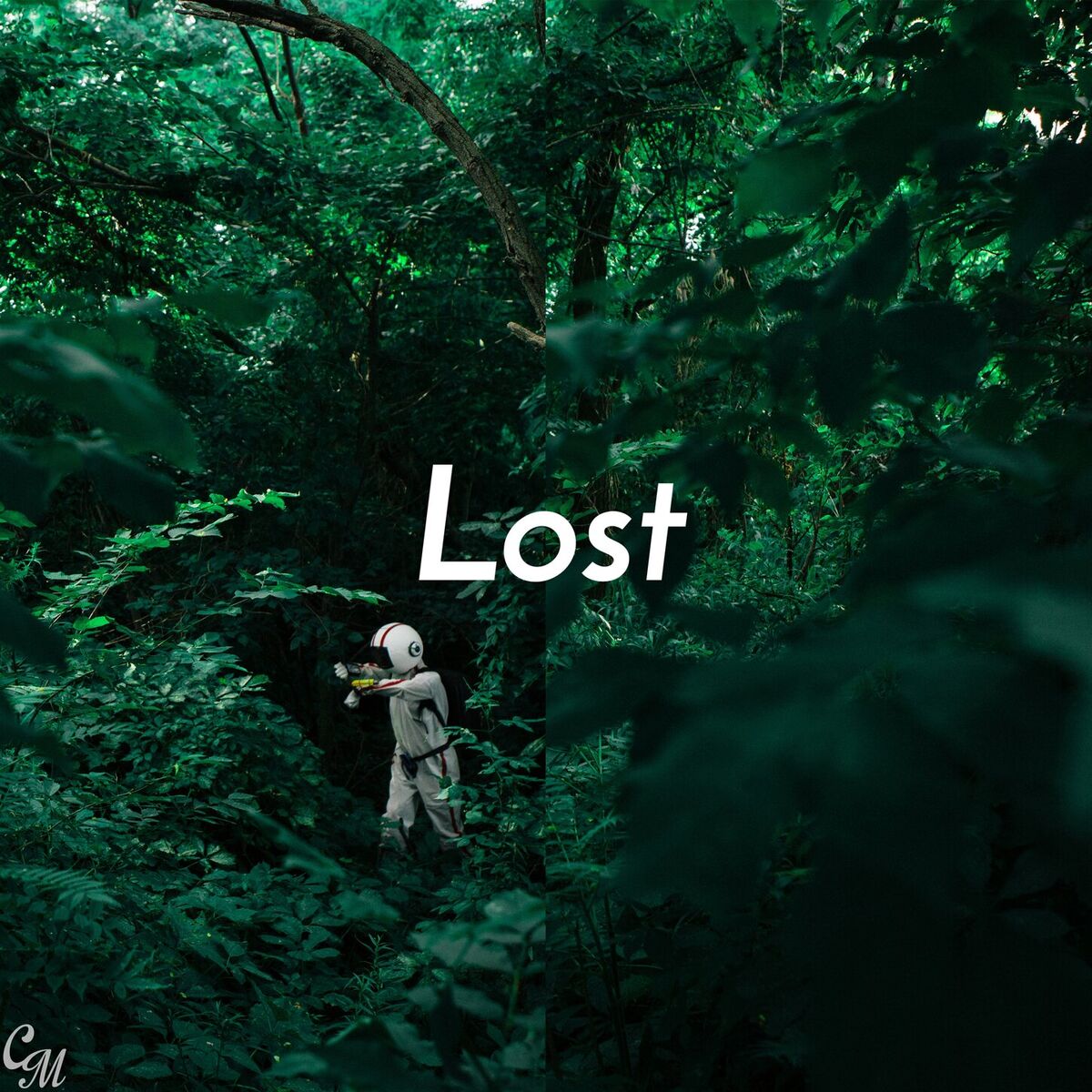 Album cover of Lost