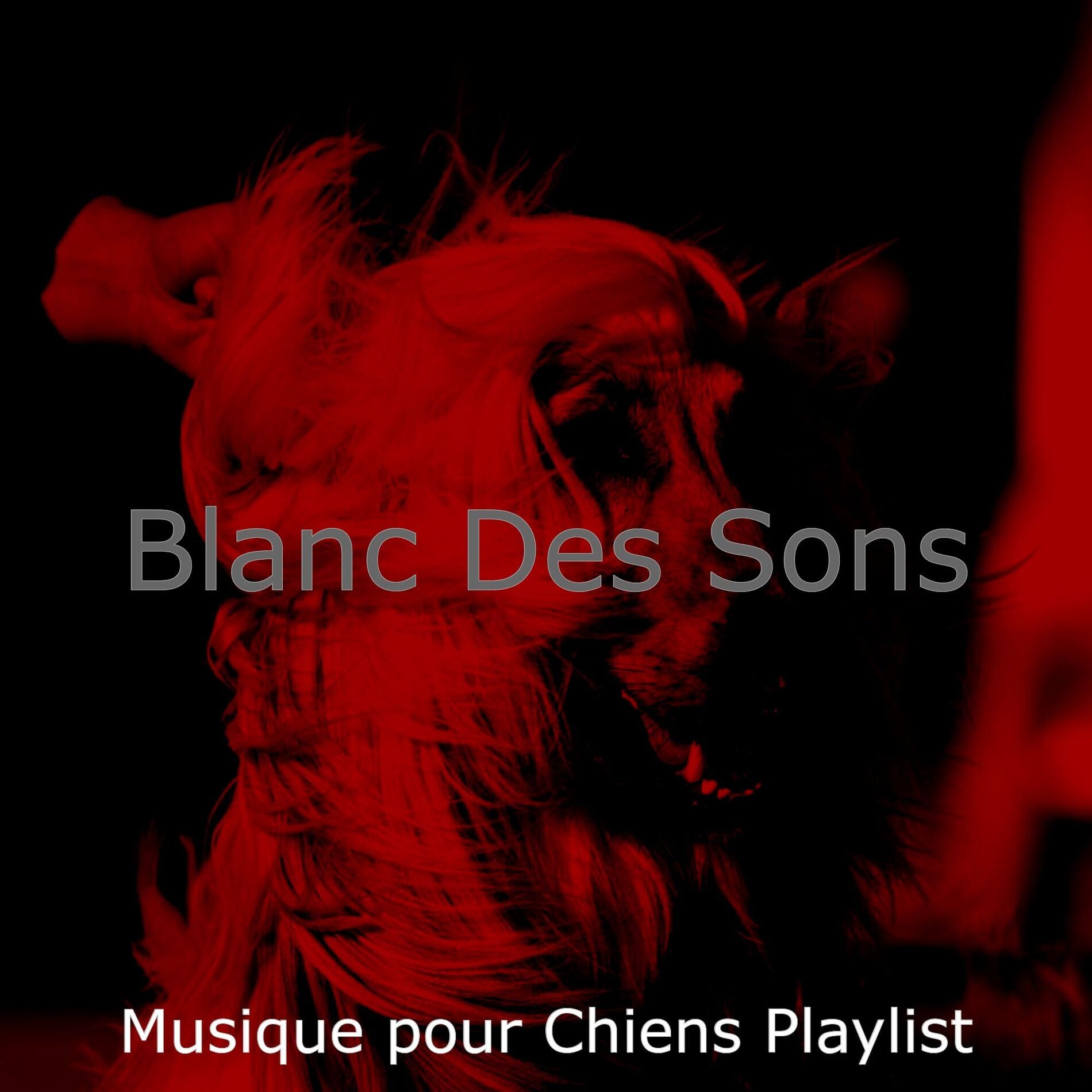 Album cover of Blanc Des Sons