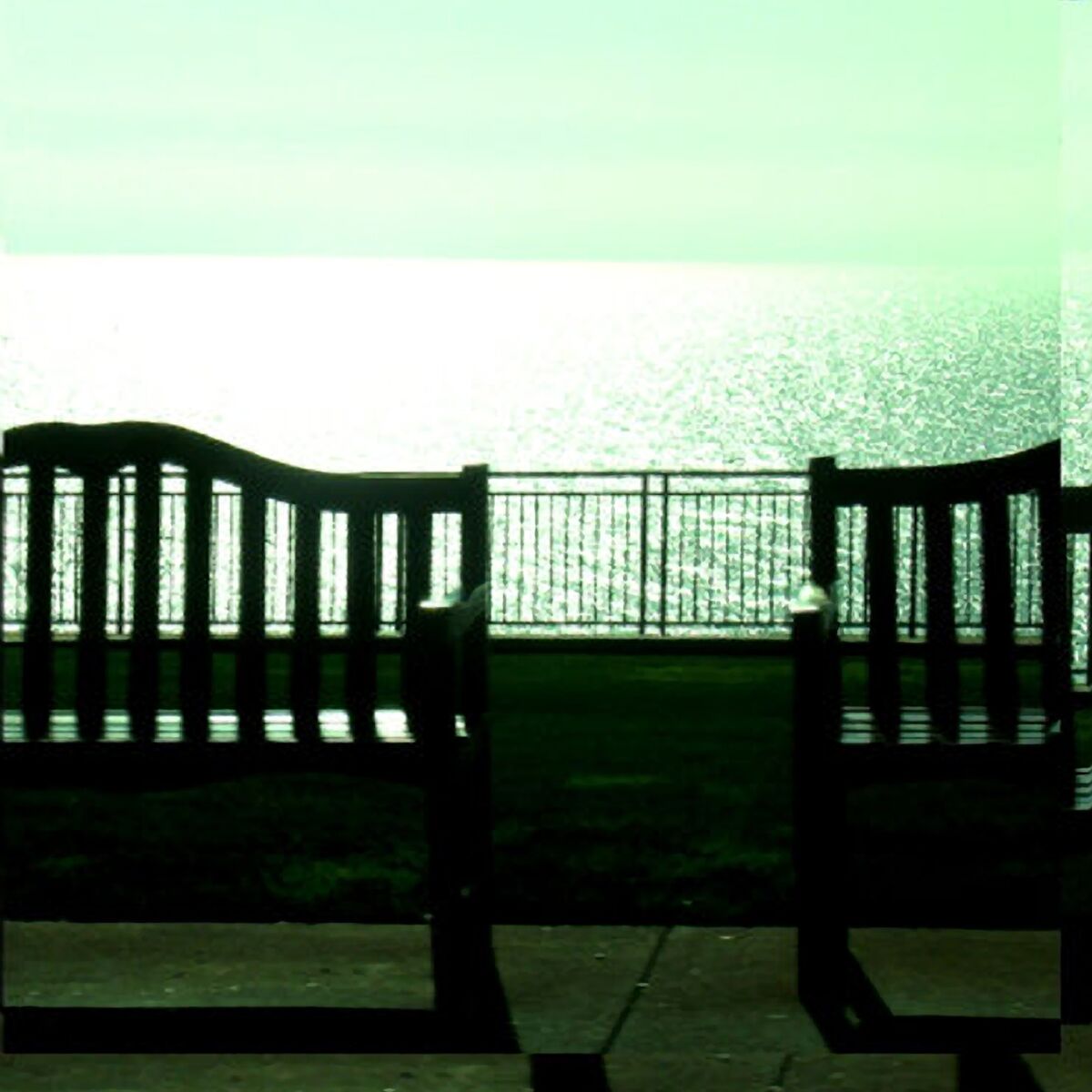 Album cover of Meandering Pupa