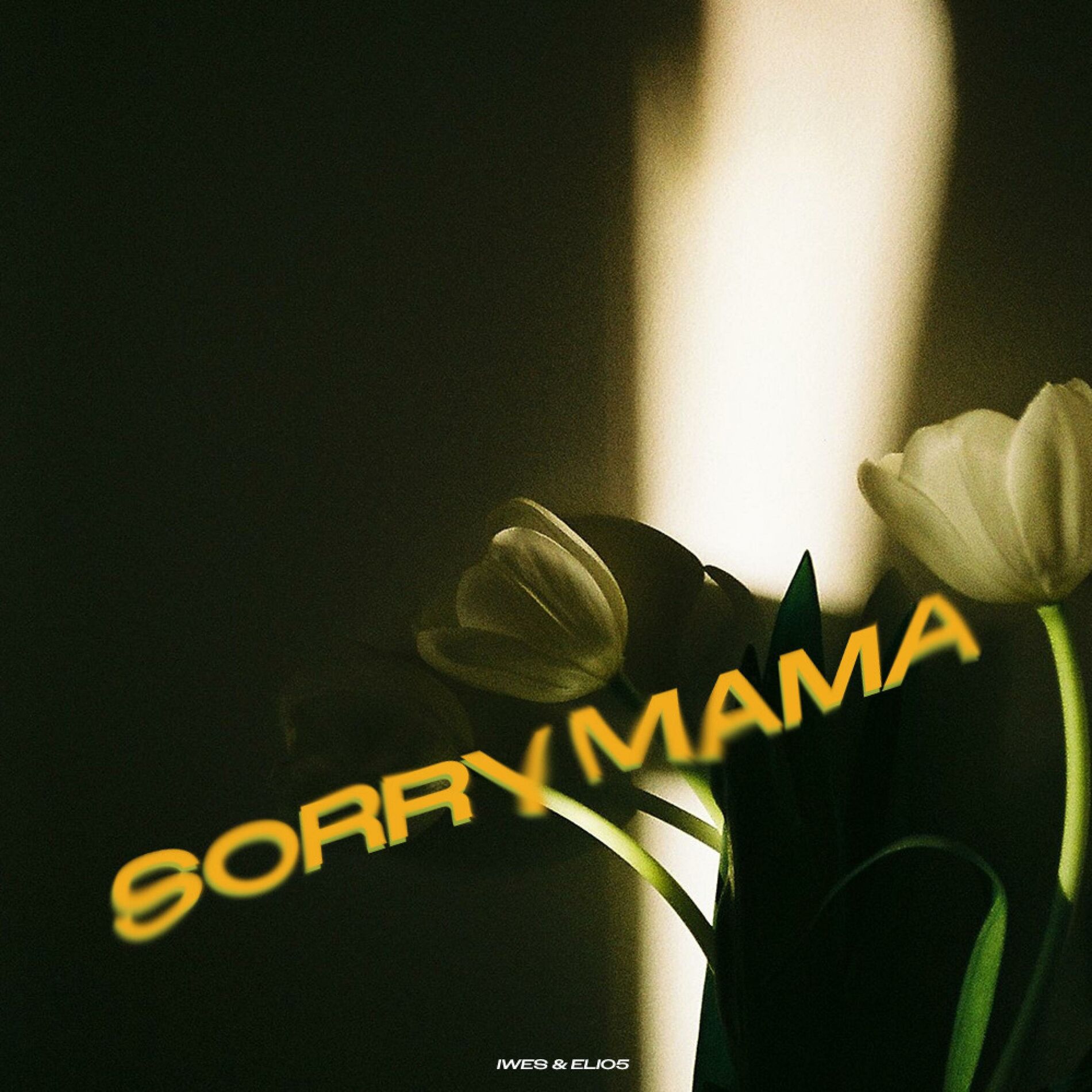 Album cover of SORRY MAMA
