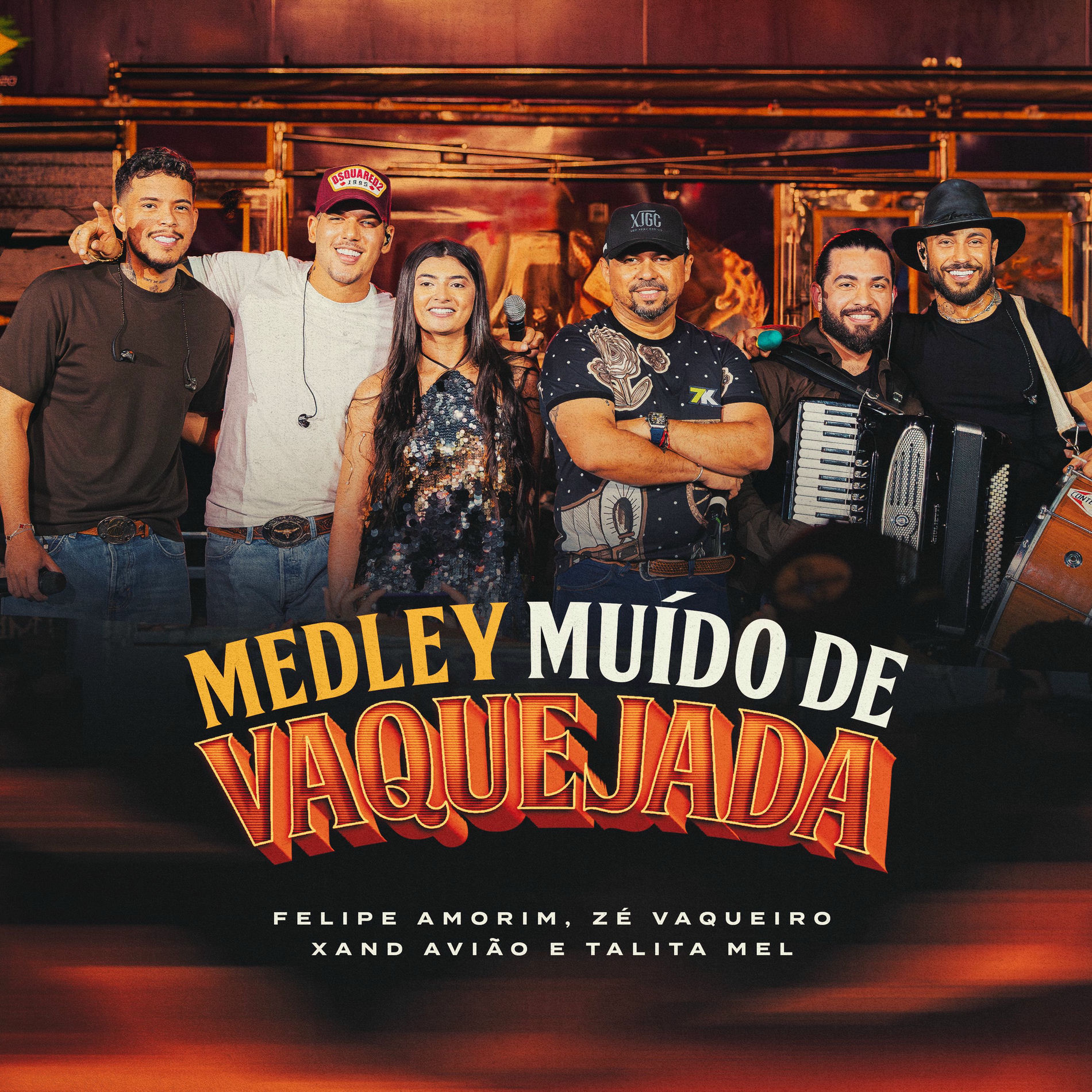 Album cover of Medley Muído de Vaquejada - Desce do Cavalo / Balada do Vaqueiro / Monta Logo Vai / Calma / Senta No Fazendeiro / Deixa Ela Montar