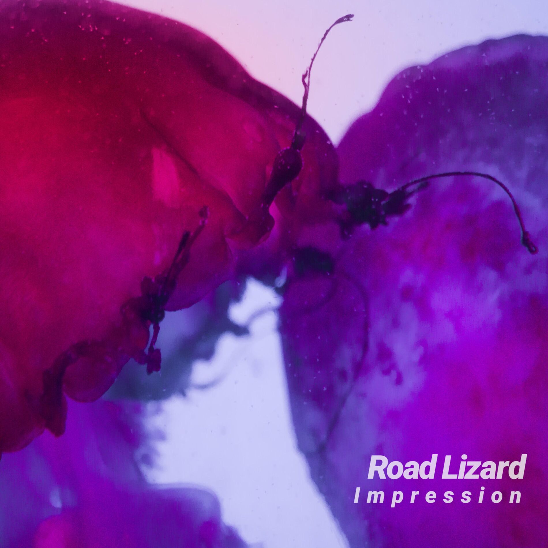 Album cover of Impression