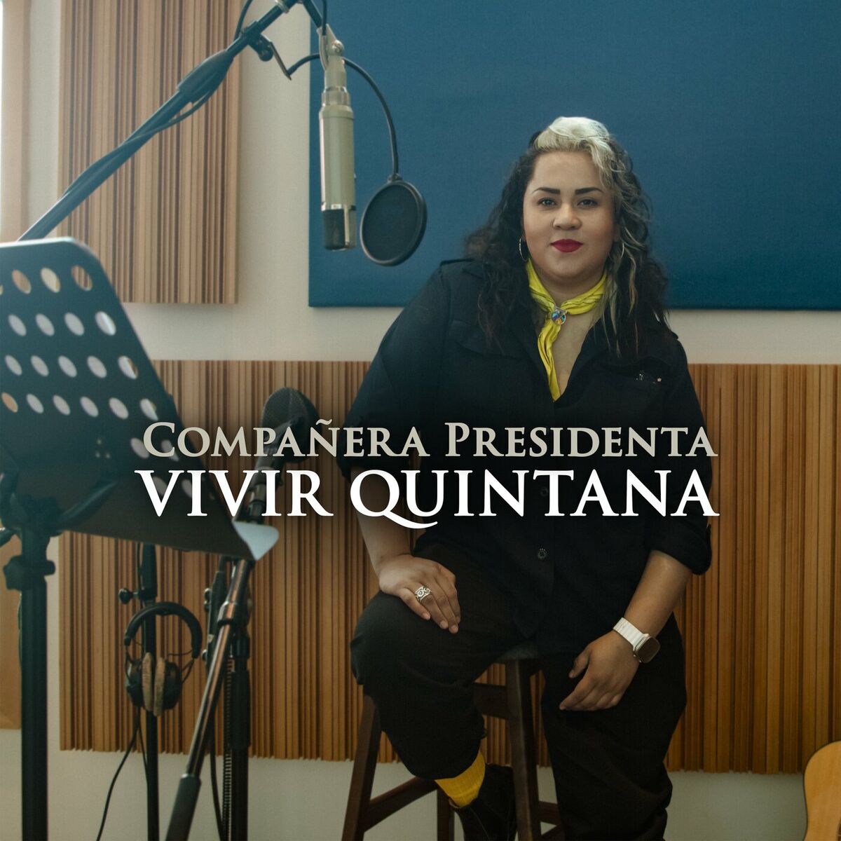 Album cover of Compañera Presidenta