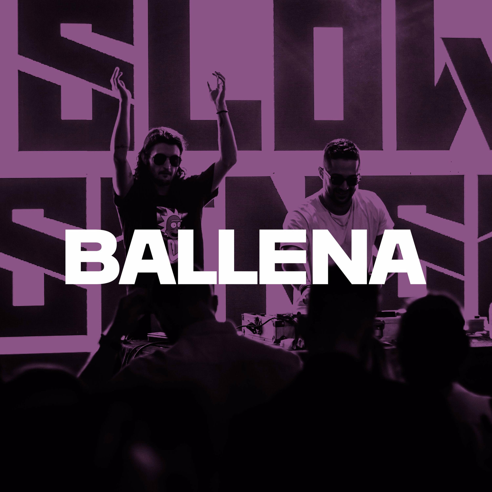 Album cover of Ballena