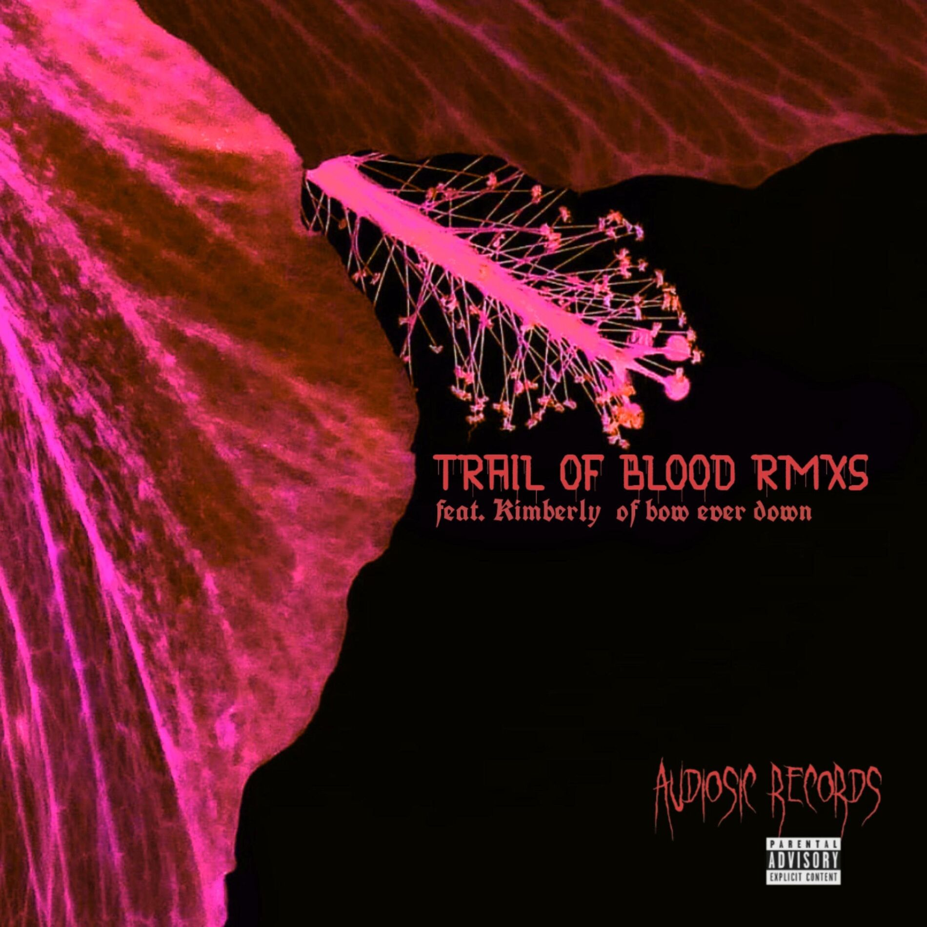 Album cover of trail of blood remixes