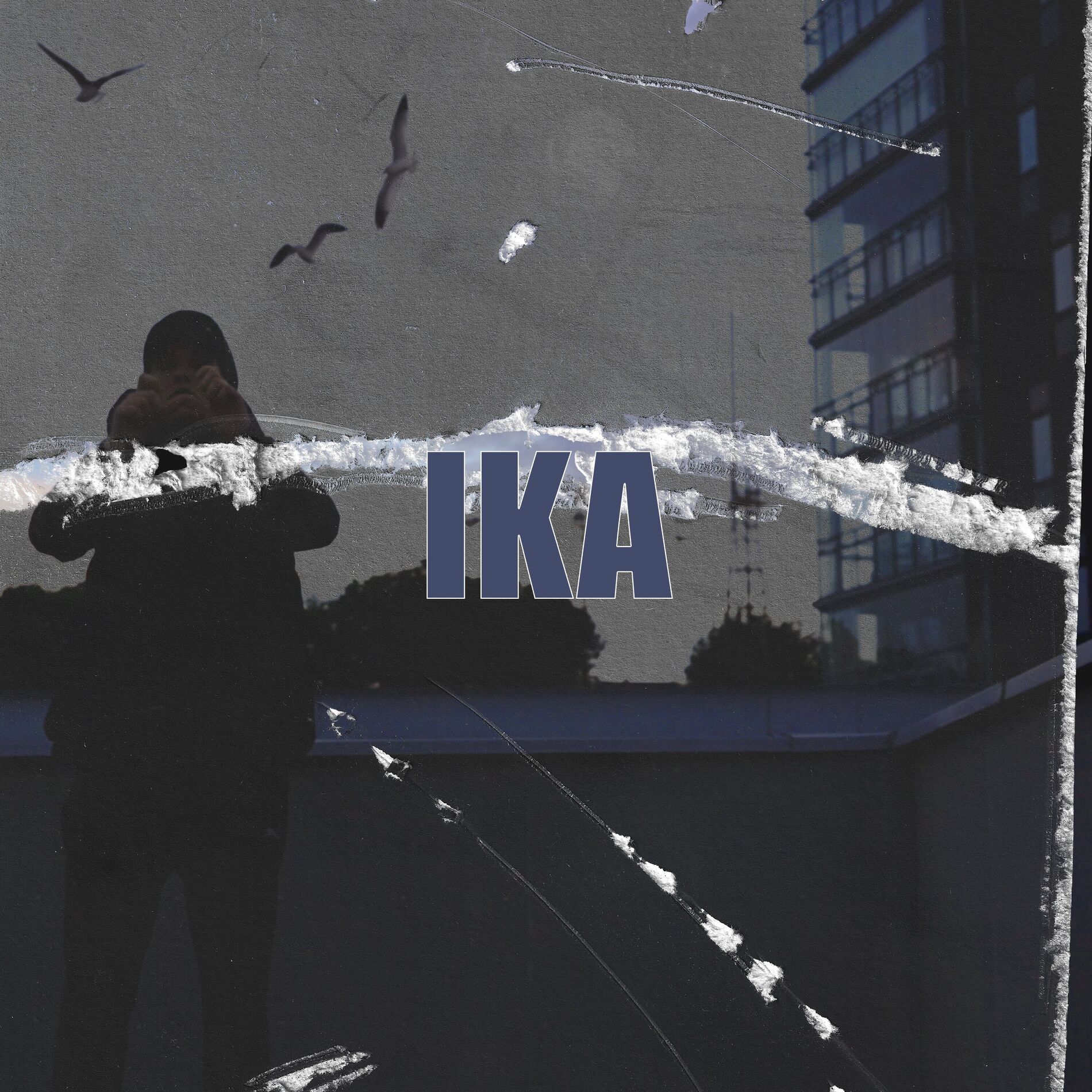 Album cover of IKA