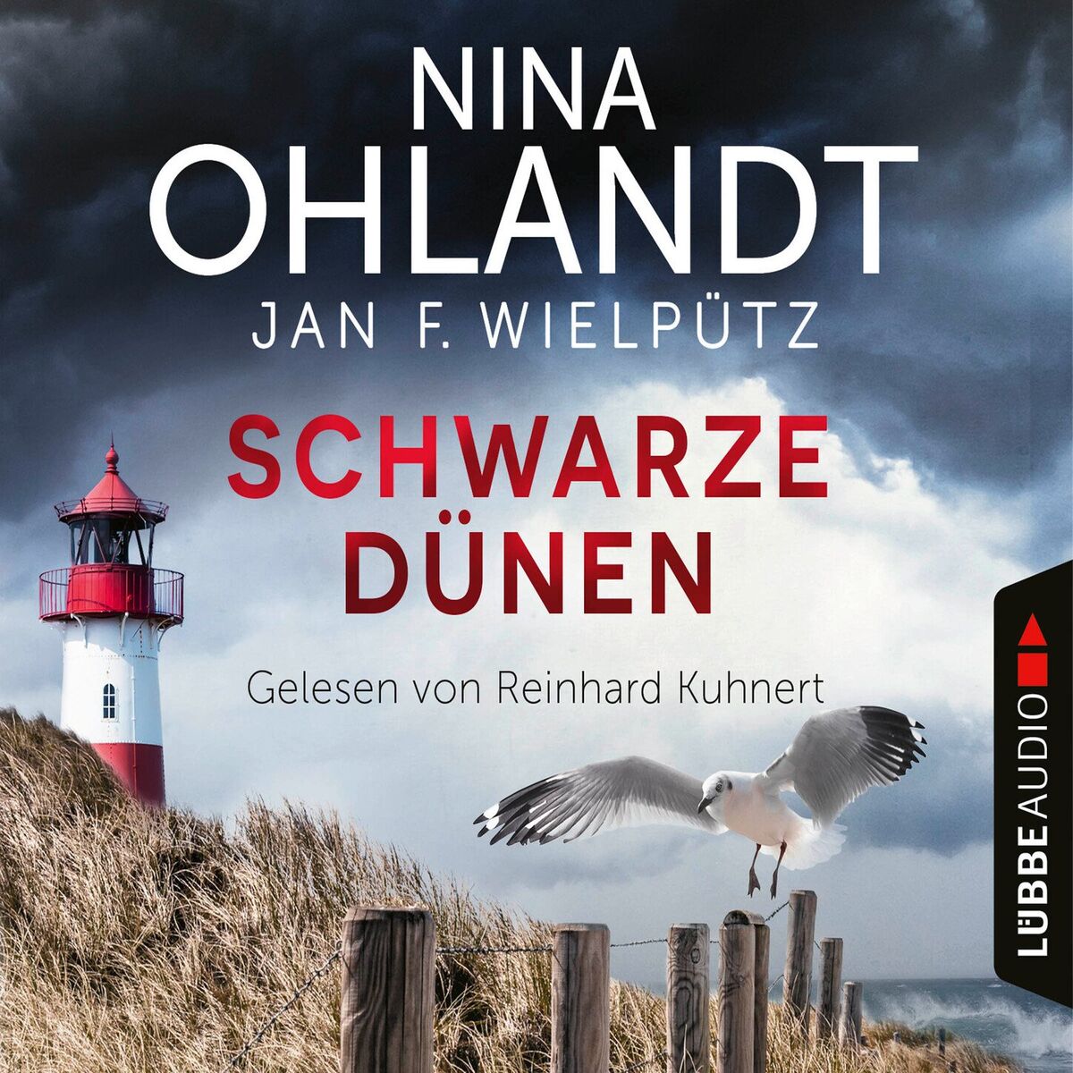 Album cover of Kapitel 1 - Schwarze Dünen - John Benthiens neunter Fall - Hauptkommissar John Benthien, Teil 9