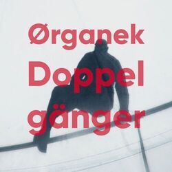 Cover of Doppelganger