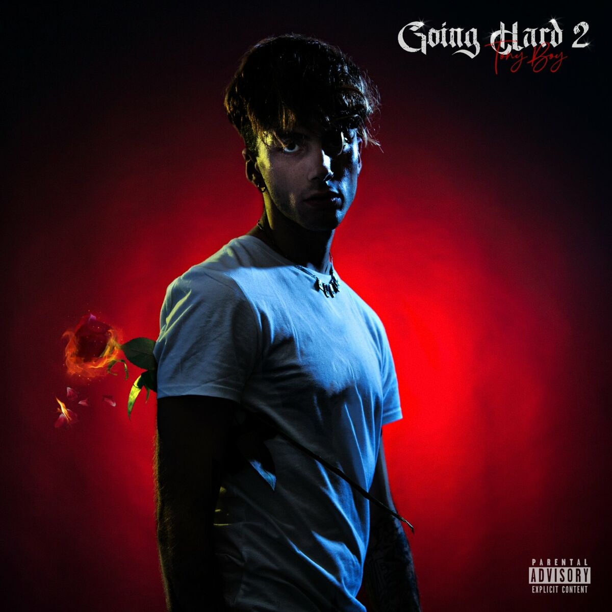 Album cover of Going Hard 2