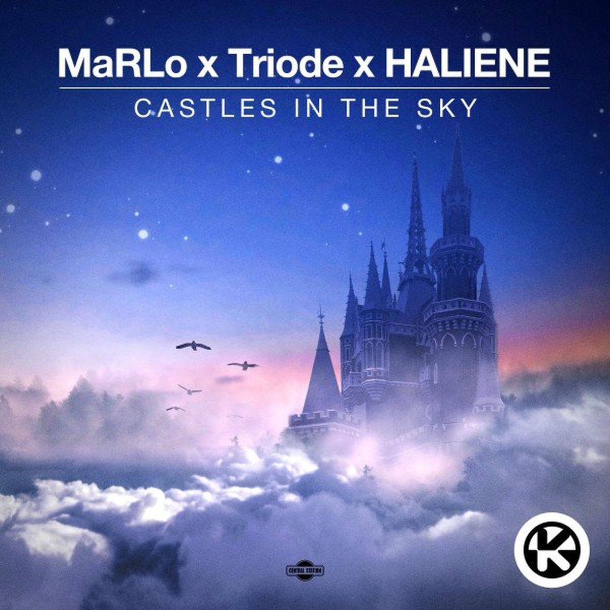 Album cover of Castles in the Sky
