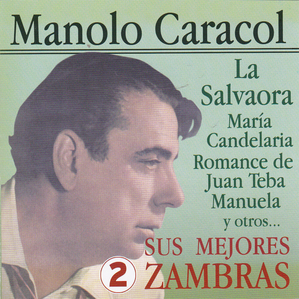 Picture of Sus Mejores Zambras Vol. 2