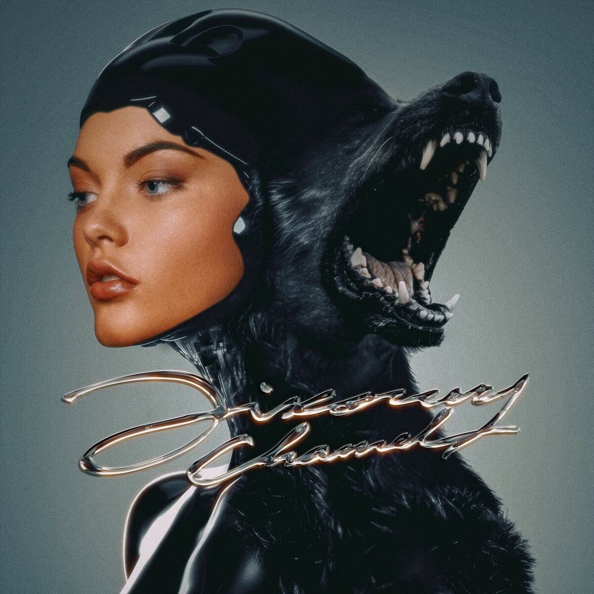 Album cover of Discovery Channel