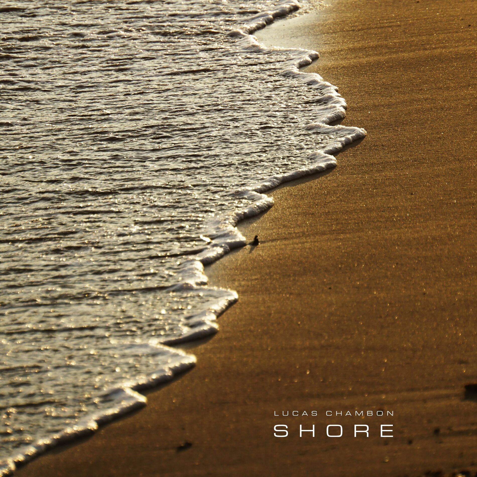 Album cover of Shore