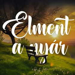 Cover of Elment a Nyár