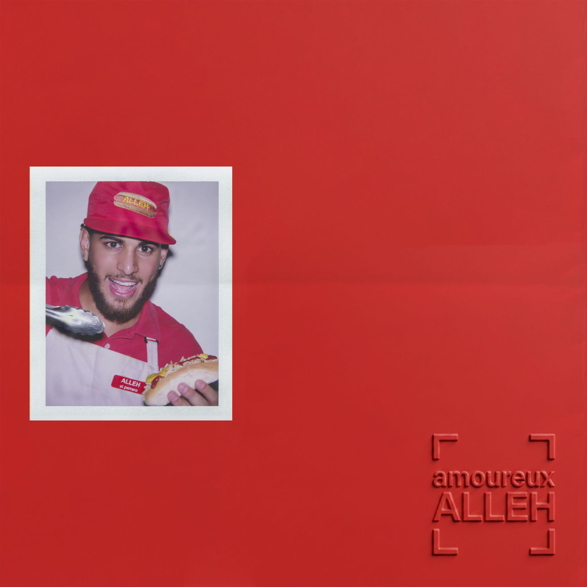Album cover of amoureux