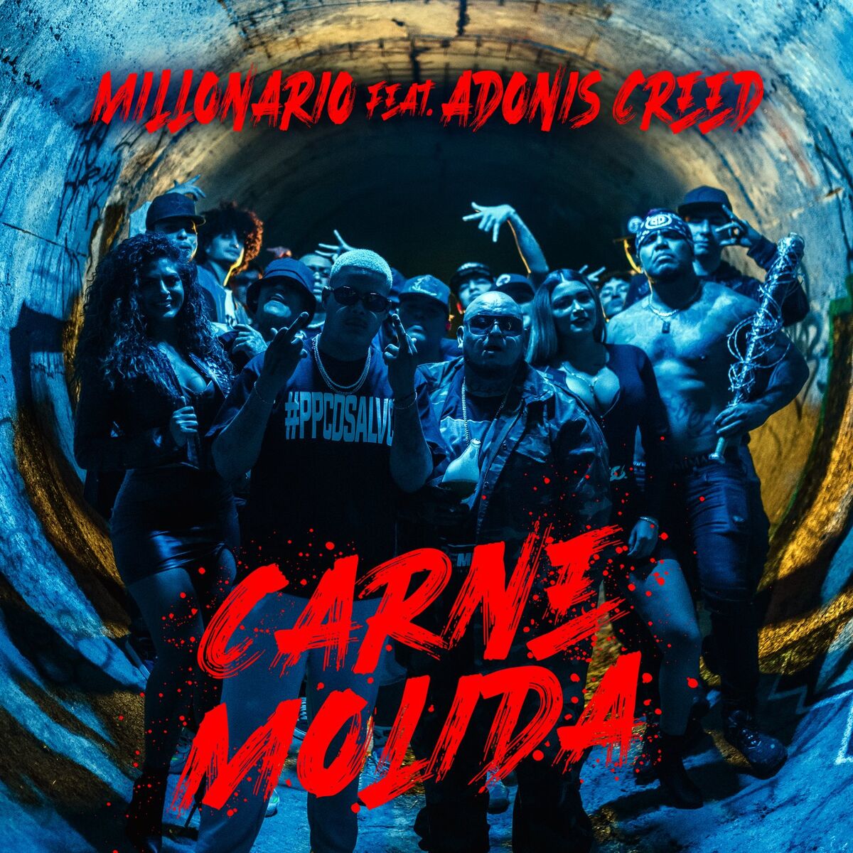 Album cover of Carne Molida