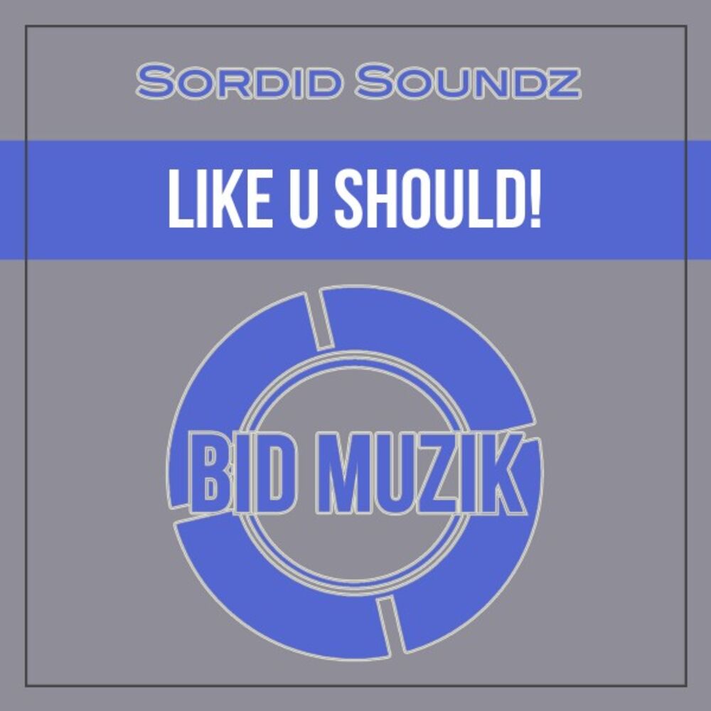 Picture of Like U Should! (Original Mix)