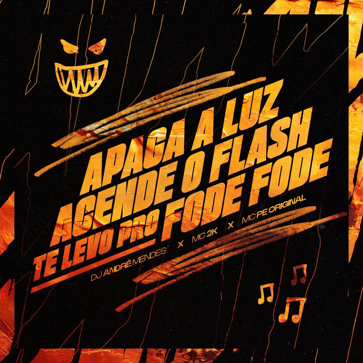 Album cover of APAGA A LUZ, ACENDE O FLASH, TE LEVO PRO FODE FODE