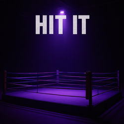 Cover of HIT IT by undefined